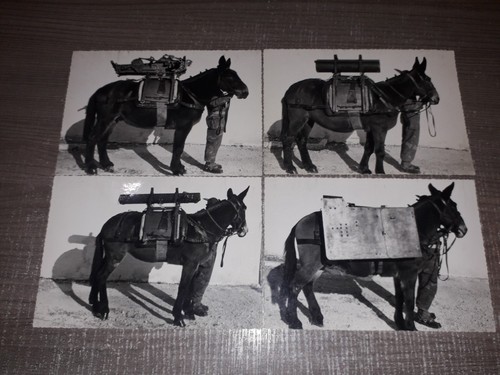 Foto militaria artiglieria - foto,